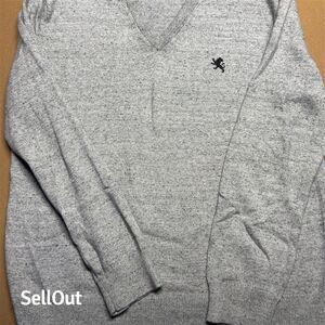 Express Men's V-Neck Sweater Gray Long Sleeve Size L Casual Knit Pullover